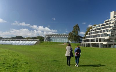 Small uea camps