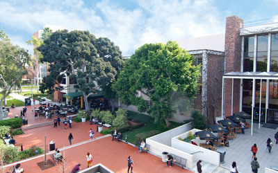 Small california state university long beach cover