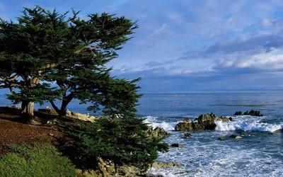 Small california state university monterey bay