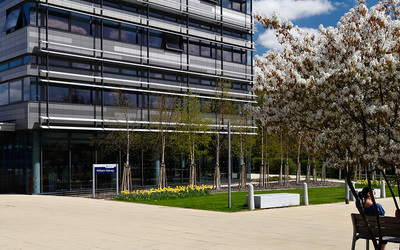 Small cambridge ruskin international college